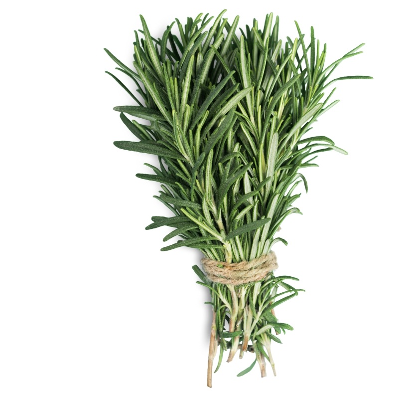 Rozmarýnový extrakt