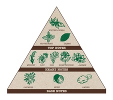 Pyramida Bílé květy