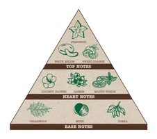 Pyramida Tajemství dýně