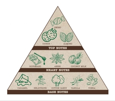 NATAVA Vonná sójová svíčka - Vánoční cukroví