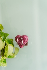  držák/háček na tuhé srdce 35 mm