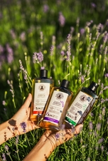 NATAVA Šampon na vlasy - Kopřiva